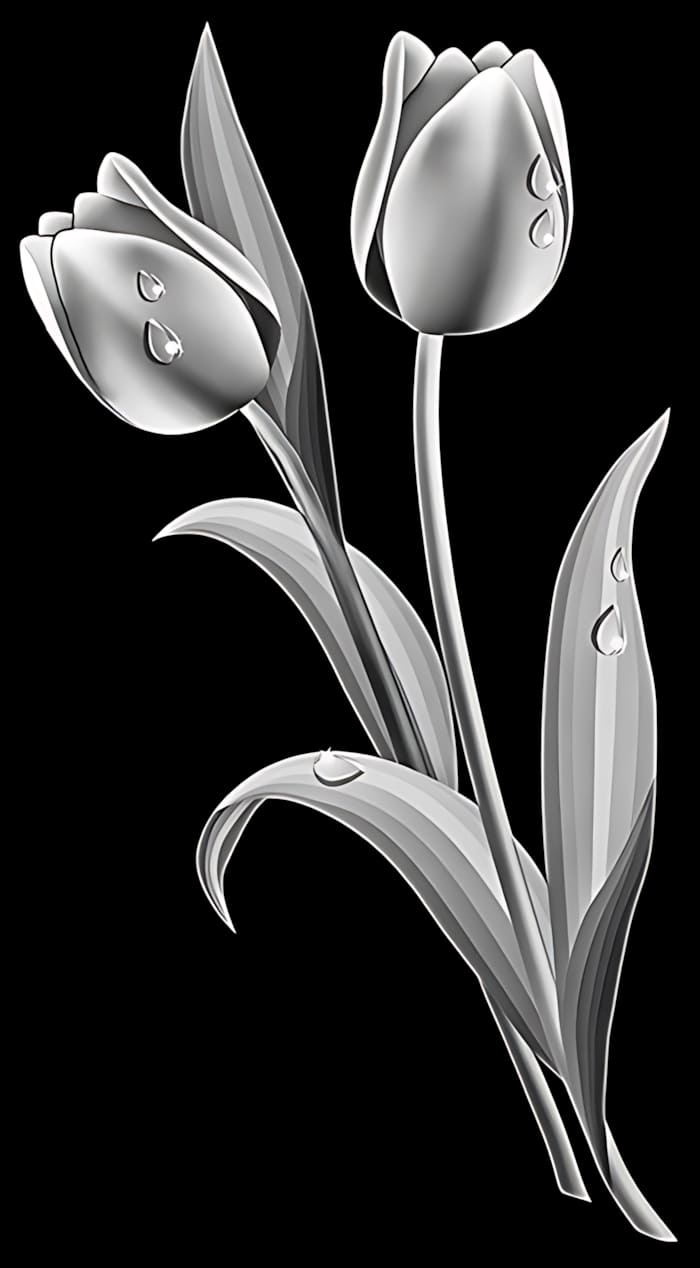 cн24