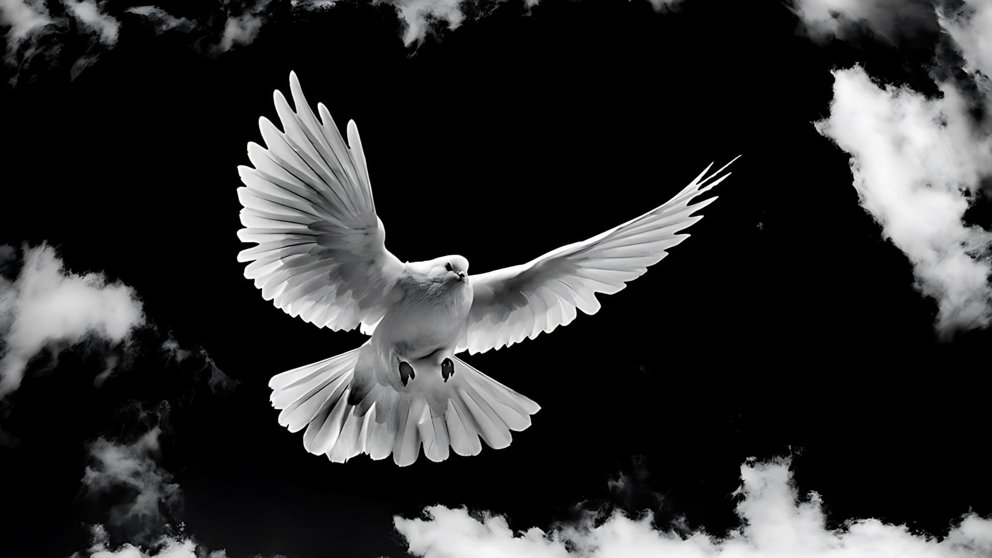 pc_38